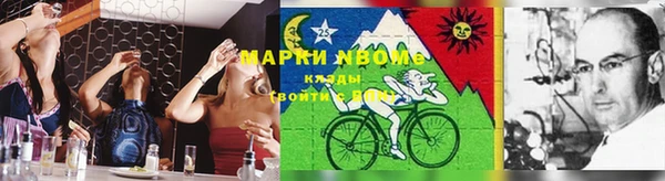 амф Горняк