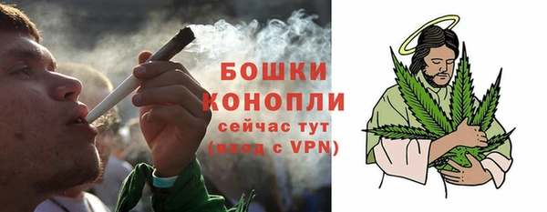 амф Горняк
