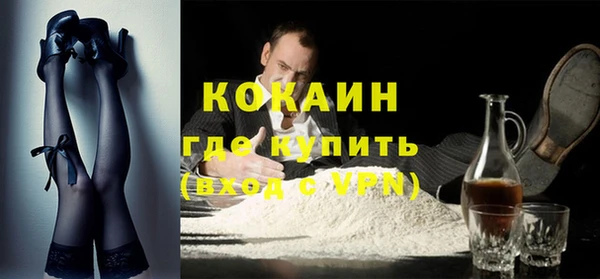 амф Горняк
