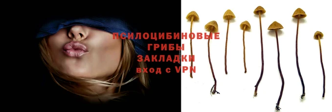 apvp Гусиноозёрск
