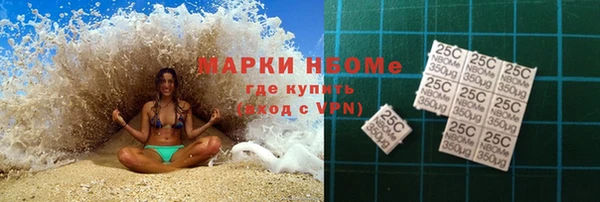амф Горняк