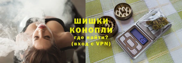 амф Горняк
