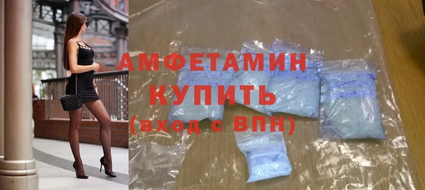 амф Горняк