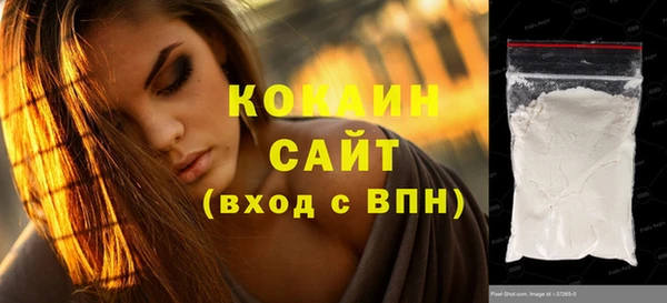 амф Горняк